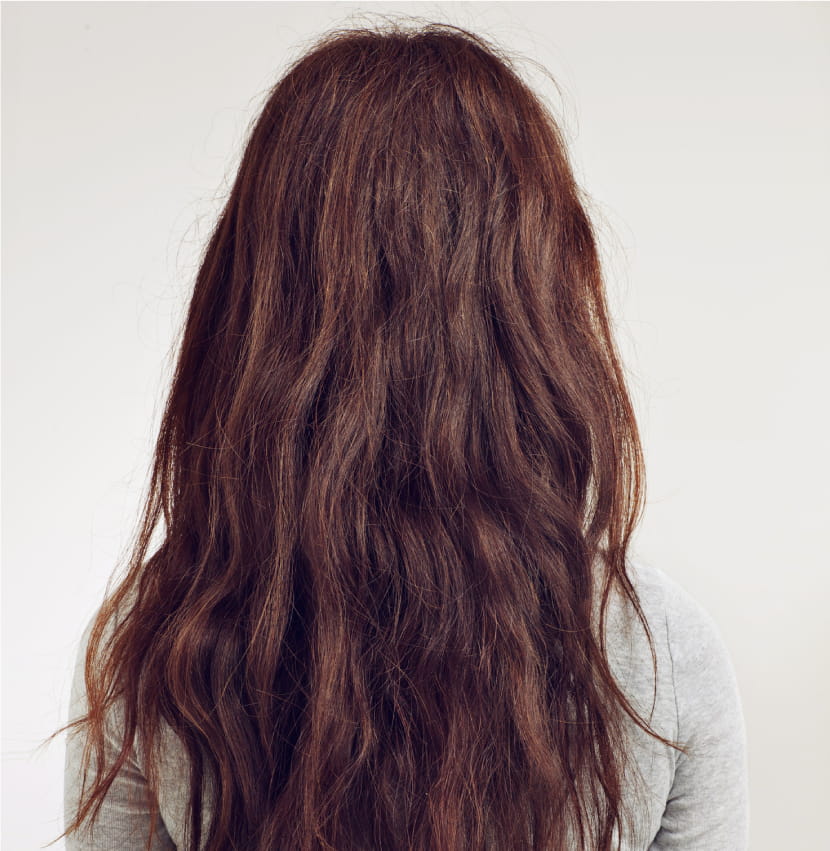 Hair Transformation From Dull to Dazzling - Before