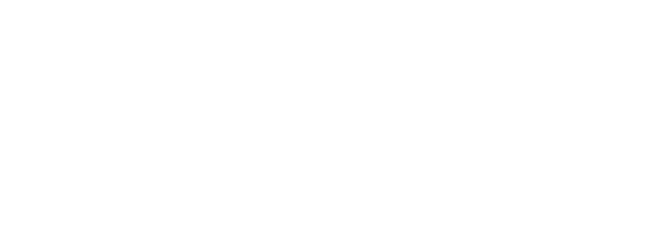 Nellai Designz